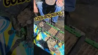 Dredging #gold #dredge #dredging #prospecting #goldmining #prospector #goldibox #outdoors