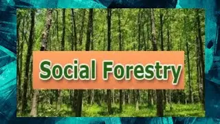 Social forestry.