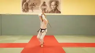 Trainingsform/&Uuml;bungsform f&uuml;r den 3. Kyu DJJV Hanbo-Jutsu (frontal)