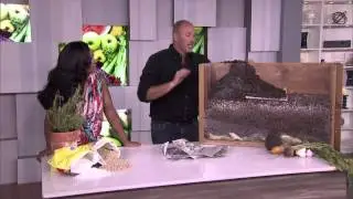 Carson's tips for starting a veggie garden