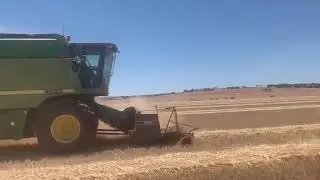 Angus&rsquo;s harvest 2020