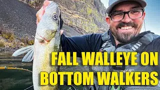 Fall Walleye on Bottom Walkers