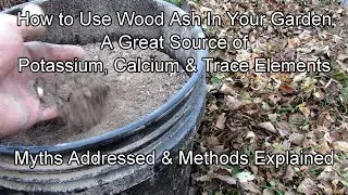 How to Use Wood Ash in Your Vegetable Garden: Myths Addressed & Methods Explained - Potassium!