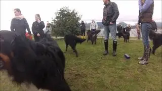 New Years Walk!