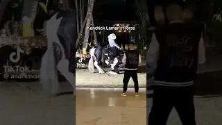Hip-Hop Horses #kendricklamar #dancing #horses 🐎🐎