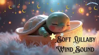 Phoeniz&rsquo;s Shell Cradle 🐚 | 1 Hour Baroque Lullaby Baby Sleep Music for Newborns & Toddlers