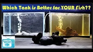 Water Quality in Your Aquarium - What Does it REALLY Mean?
