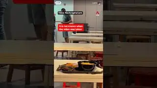 SFA investigating video of rat on food tray at Tangs Market #shorts