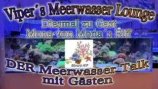Viper&acute;s Meerwasser Lounge zu Gast  Mona von Mona&acute;s Riff