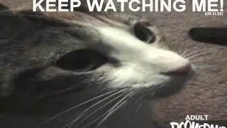 Adult Boomerang: Keep Watching Me