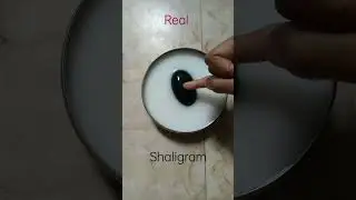 How to know shaligram real or fake 🌹🙏🌹🌹🙏🌹