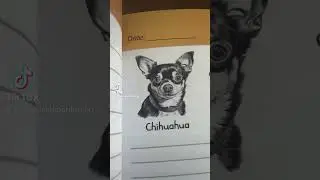 Available at Amazon. #dog #pets #art #amazonproduct #book #gift #love #motivation #empowerment