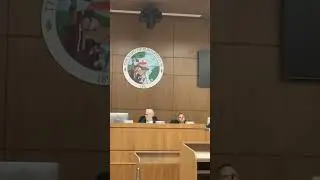 Mayor and Council 12-29-26