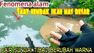 FENOMENA ALAM .! SAAT NEMBAK IKAN NILA BABON & NEMBAK IKAN MAS BESAR AIRNYA LANGSUNG BERUBAH WARNA