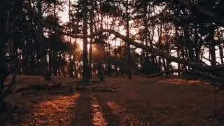 Three 'N One - Soulfreak [Unofficial]