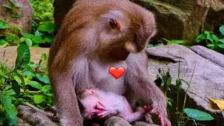 Full of Emotion ! Joyce is showing love to cute baby JACEE, JACEE is very cute and Lovely