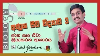 A/L Molecular Biology 3 - Genes and How they Work ජාන හා ඒවා ක්‍රියාකරන ආකාරය