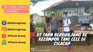 Kunjungan DT Farm Group ke Kelompok Tani Lele di Cilacap (Official Video)