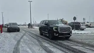 Як виживають на острові Нюфаундленд?