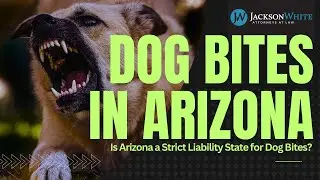 Is Arizona a Strict Liability State for Dog Bites? | Phoenix Dog Bite Lawyer Explains