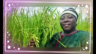 Amb. King 🤴 Sallas-Feed Salone-World Food Day Kambia 2025.