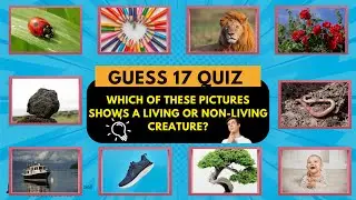Guess Living Things or Non-Living Things? Guess! 🧠    #LivingOrNonLiving #FunQuizForKids #quizgames