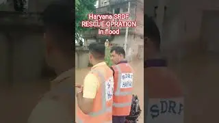 #haryana #flood #viral #sdrf #rescue