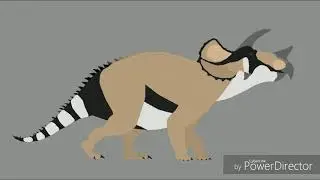 Triceratops prorsus stk.