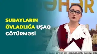 2025 ci ildə subay şəxslərin &ouml;vladlığa uşaq g&ouml;t&uuml;rməsi