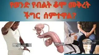 አልአስፈላጊ የብልት መቆም|Priapism |Prolonged Erection #duet #health #new #israel