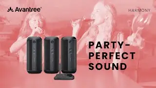 The Best Way to Get Multi-Room Audio - Avantree Harmony