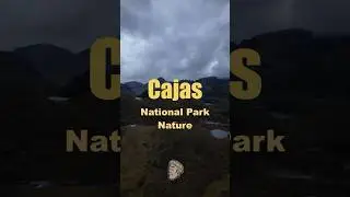 🦅 Cajas National Park &ndash; Birds & Wildlife in the Andes (Short2)