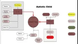The Cures To Autism Naturally & Medical Treatment of Autism Myth or Reality