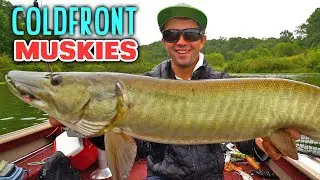 Cold Front Topwater Muskies!!
