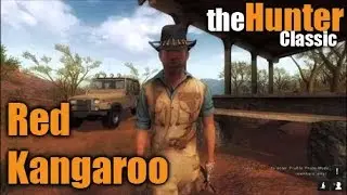 theHunter Classic - Red Kangaroo