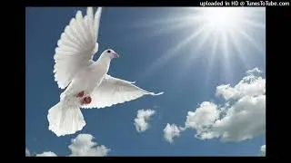 Erzengel Kamiel: Kl&auml;rung deiner Chakren; Meditation