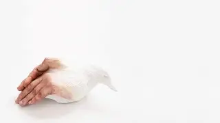 The Beauty Of Differences - My debut album - kickstarter introduction video