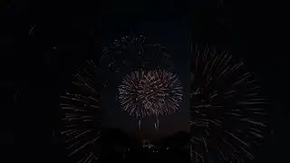 Fireworks 🎆 #music #july4th #fire #fireworks #shorts #beautiful #amazing #sad #oldies