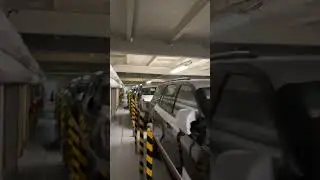 Корабль РОРО, полный машин #roro #maersk