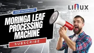Moringa Leaf Processing Machine | Drying, Grinding & Powder Making | Linux Magnetics