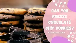 Can You Freeze Chocolate Chip Cookies?