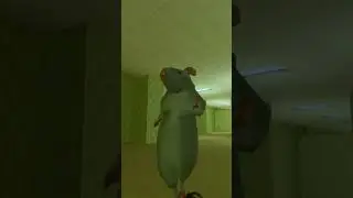 #RatDance, #shorts #DanceChallenge, #ViralDance, #CuteRats, #PetDance, #RatsOfYouTube,