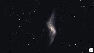NGC 660 is a peculiar and unique polar-ring galaxy!