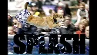 Let's Get Wet and Wild- With The WoofJocks Canine All Stars