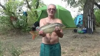 Fishing report River Don 29-30 August