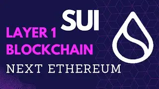 SUI Blockchain be the Next Ethereum | SUI block Chain Full Review in HIndi