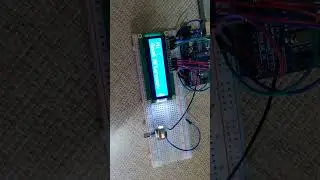 New year humans #diy #newyear #fyp #arduino