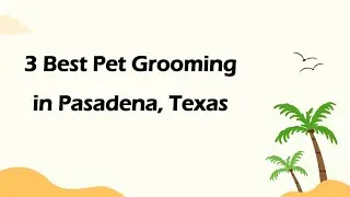 3 Best Pet Grooming in Pasadena, Texas | Pet Salons