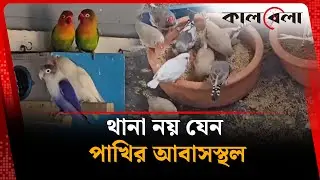 থানা নয় যেন পাখির আবাসস্থল | Bogura Bird | Kalbela