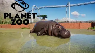 PLANET ZOO AUSTRALIA PACK & FREE UPDATE 1.3 EP.4 ШЛЕМОНОСНЫЙ КАЗУАР #38 PLANET ZOO ПРОХОЖДЕНИЕ